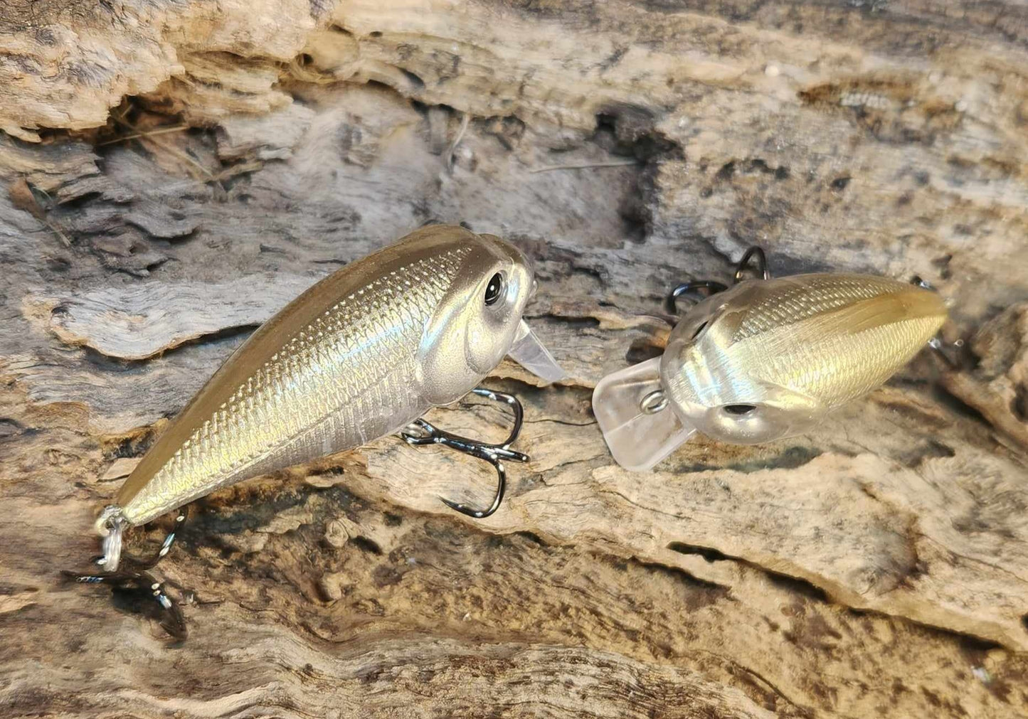 Twelve Oaks Signature Wake