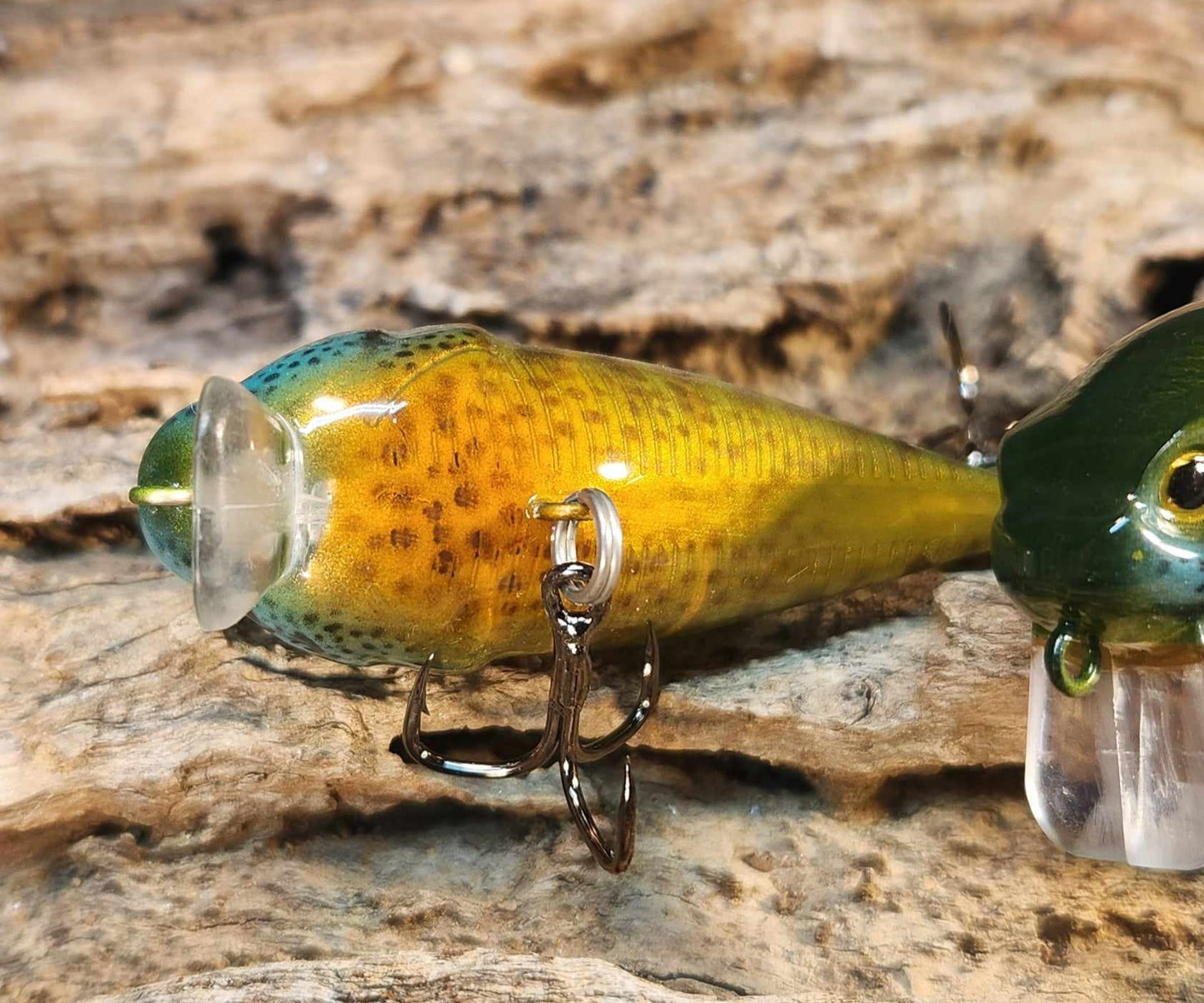 Twelve Oaks Signature Wake