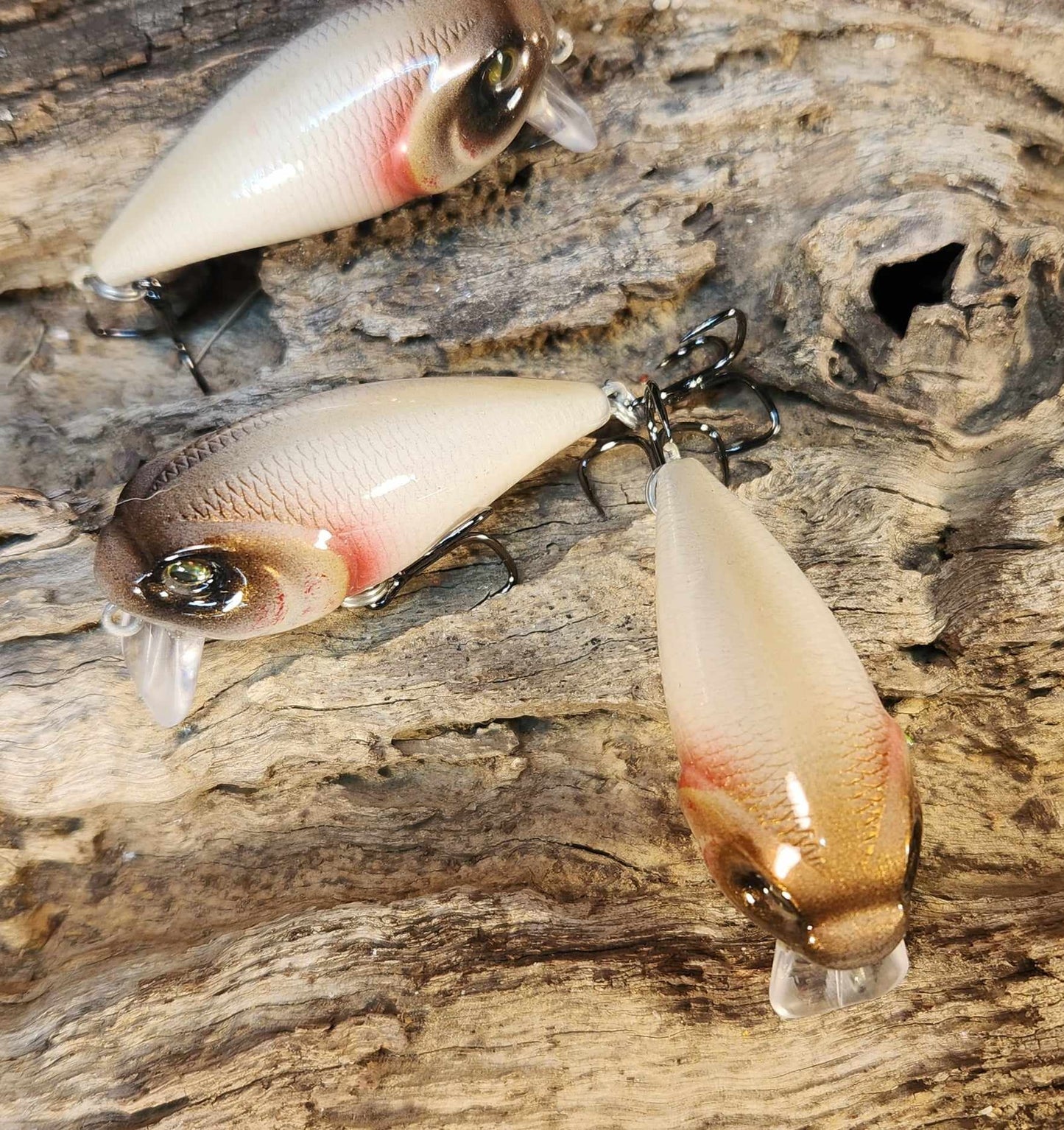 Twelve Oaks Signature Wake