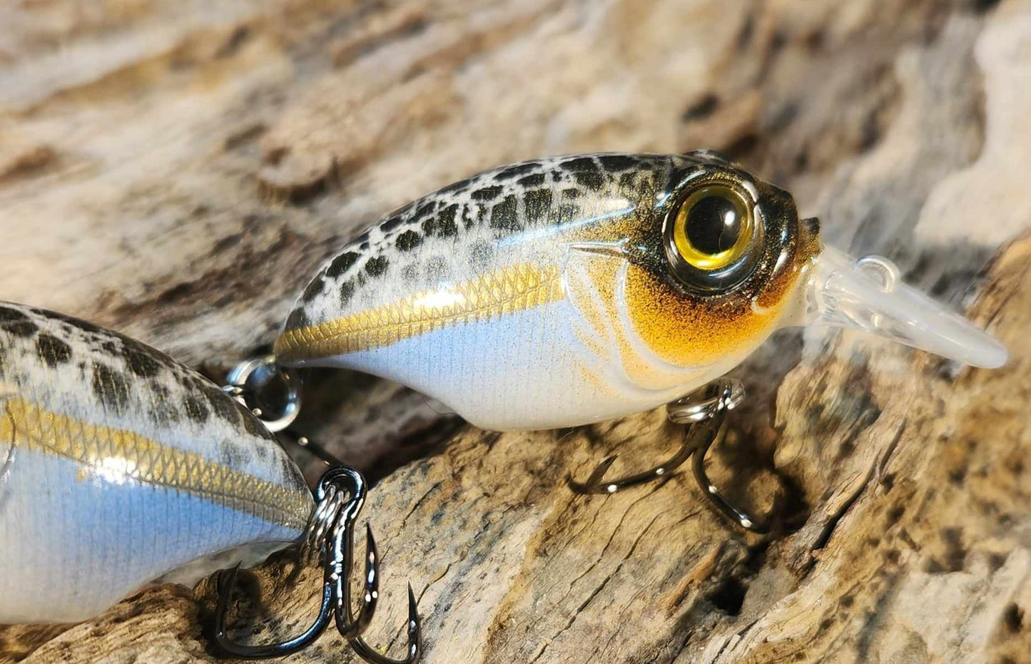 Megabass Griffon ko