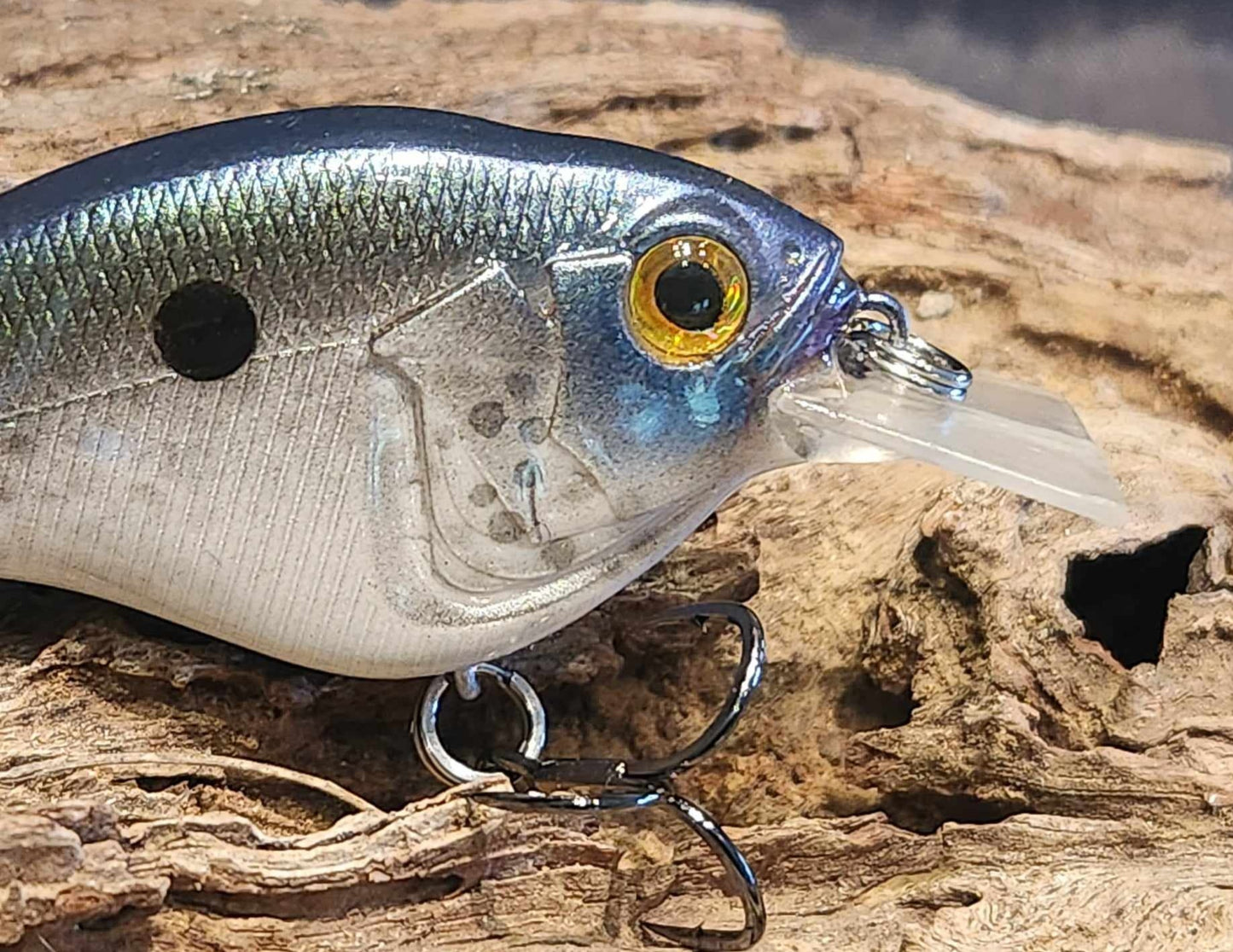 Megabass Sonicside ko. Clearance
