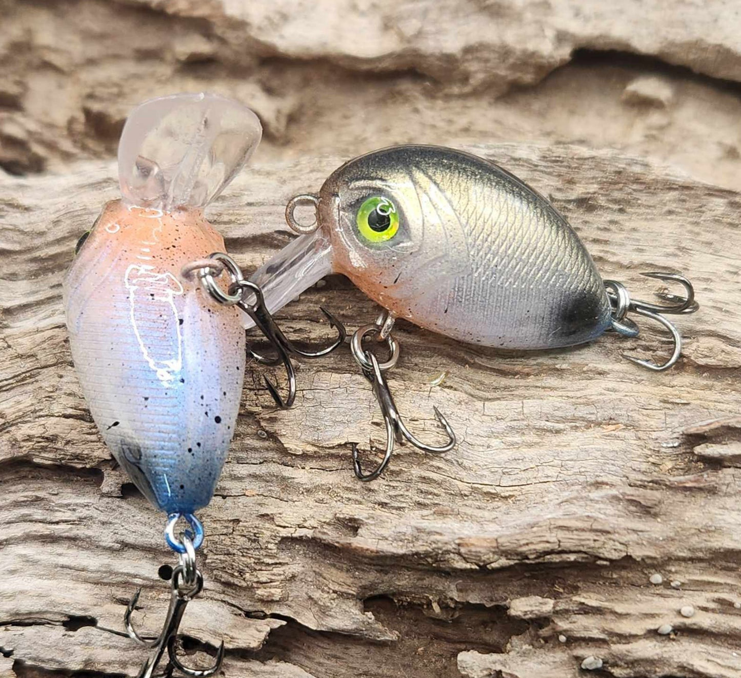 Mini Bubble Wake BFS