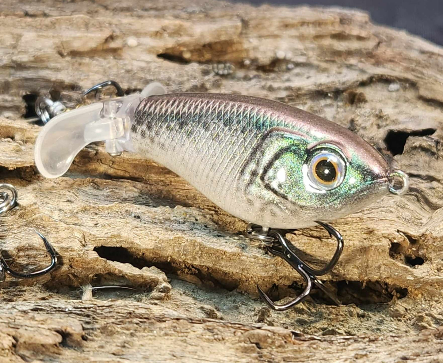 JDM Luxxe Avenge Prop 80