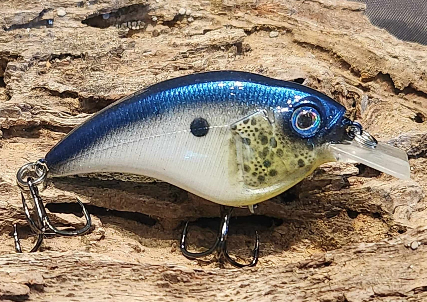 Megabass Sonicside ko. Clearance