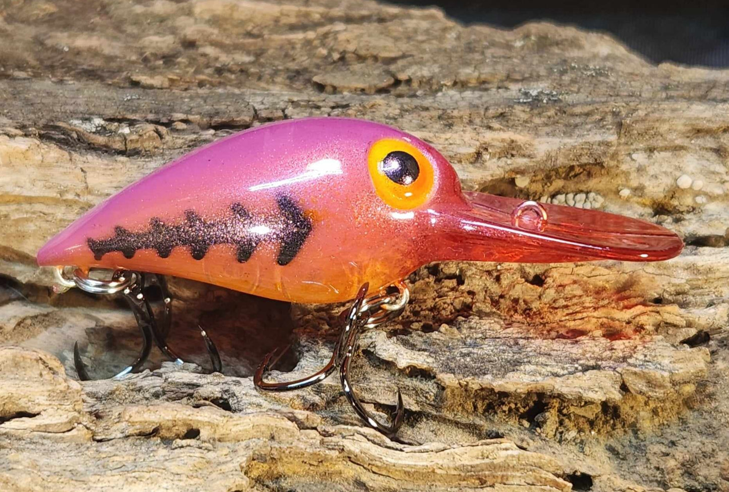 Wiggle Wart ko. Clearance