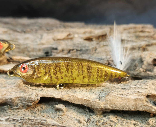 Megabass Karashi 60ko. BFS