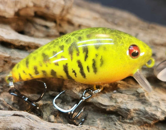 Mann's Baby 1 Minus ko