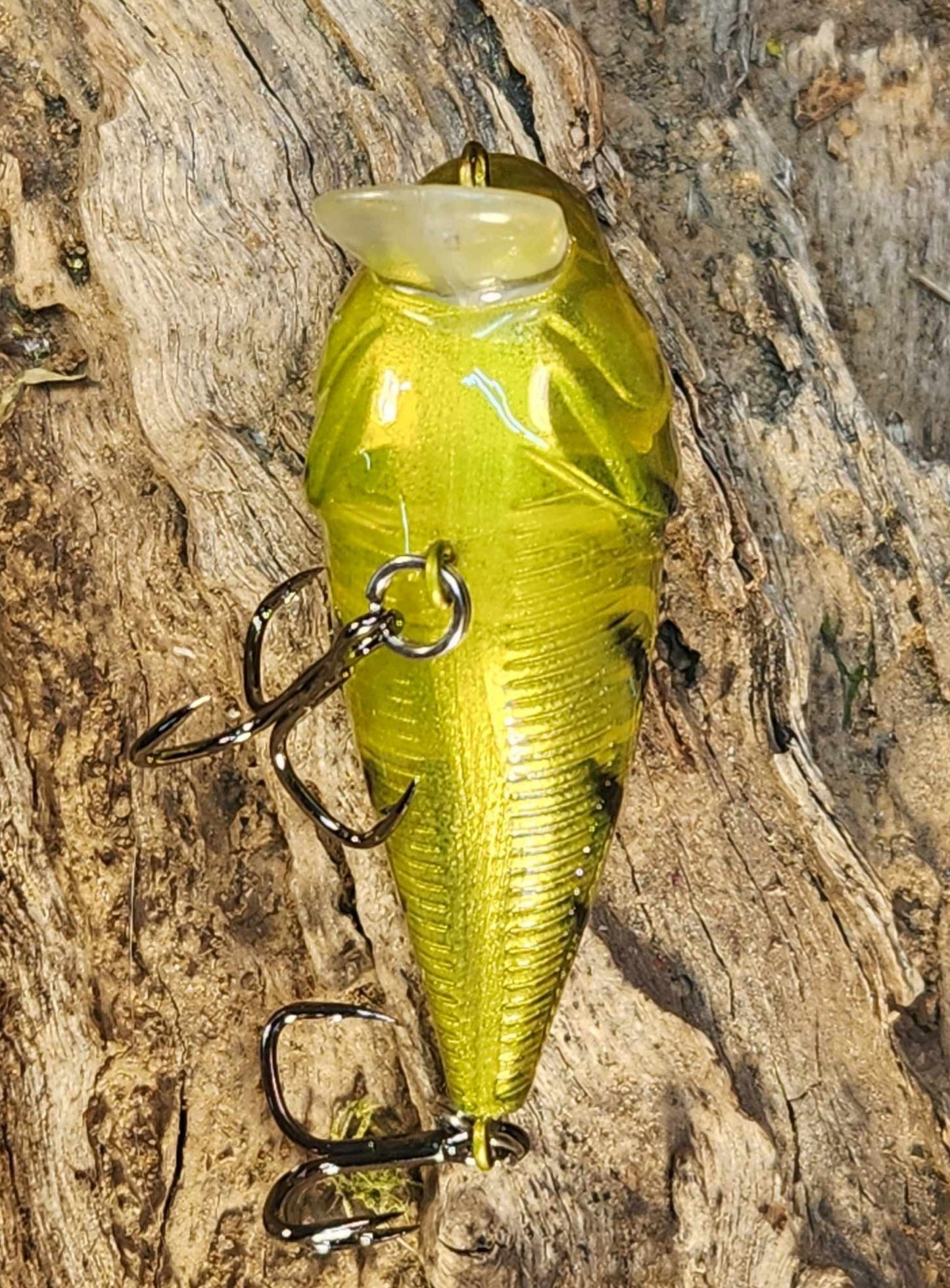 Twelve Oaks Signature Wake