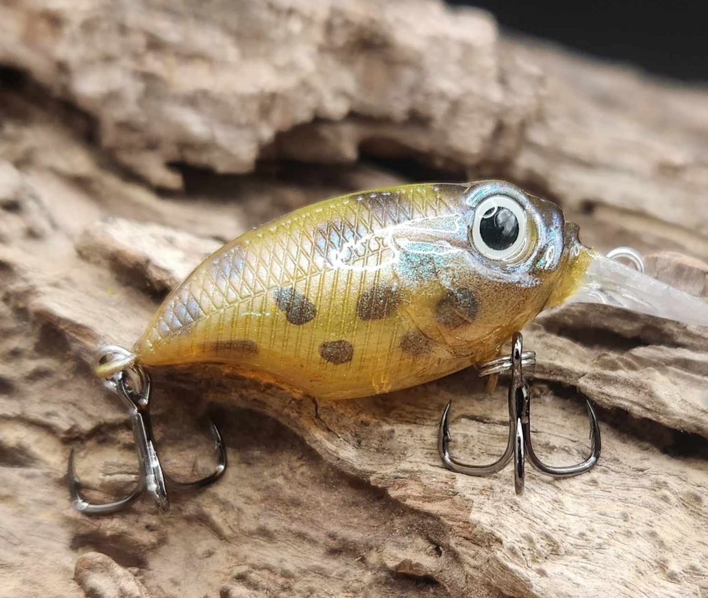 Megabass Griffon BFS ko