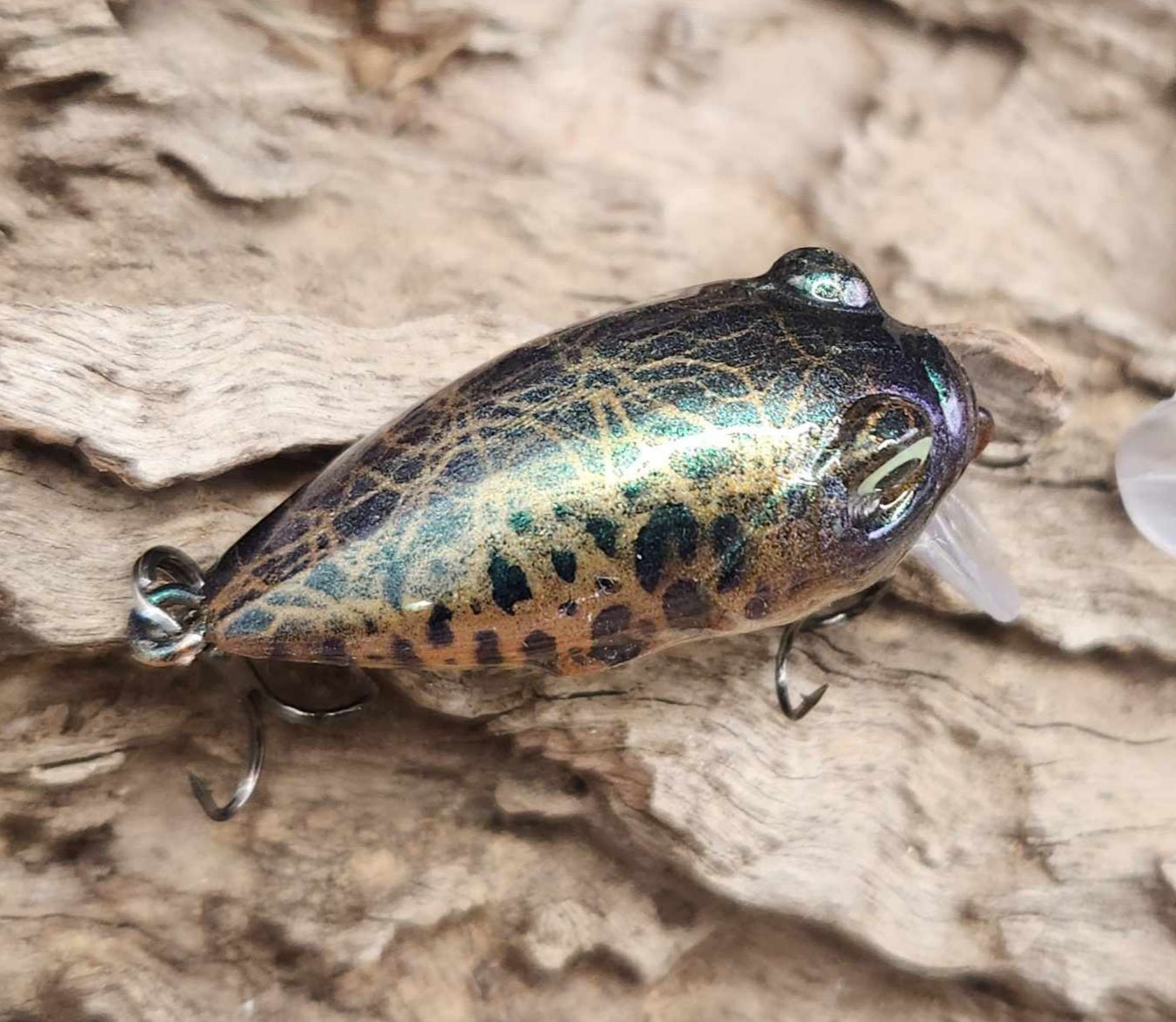 Megabass Griffon Zero BFS ko