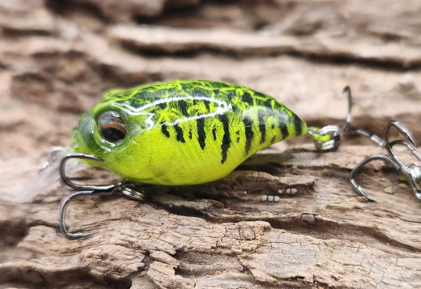 Megabass Griffon BFS