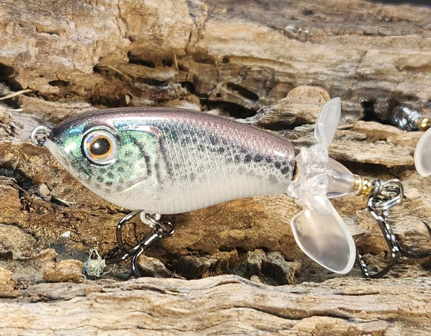 JDM Luxxe Avenge Prop 80