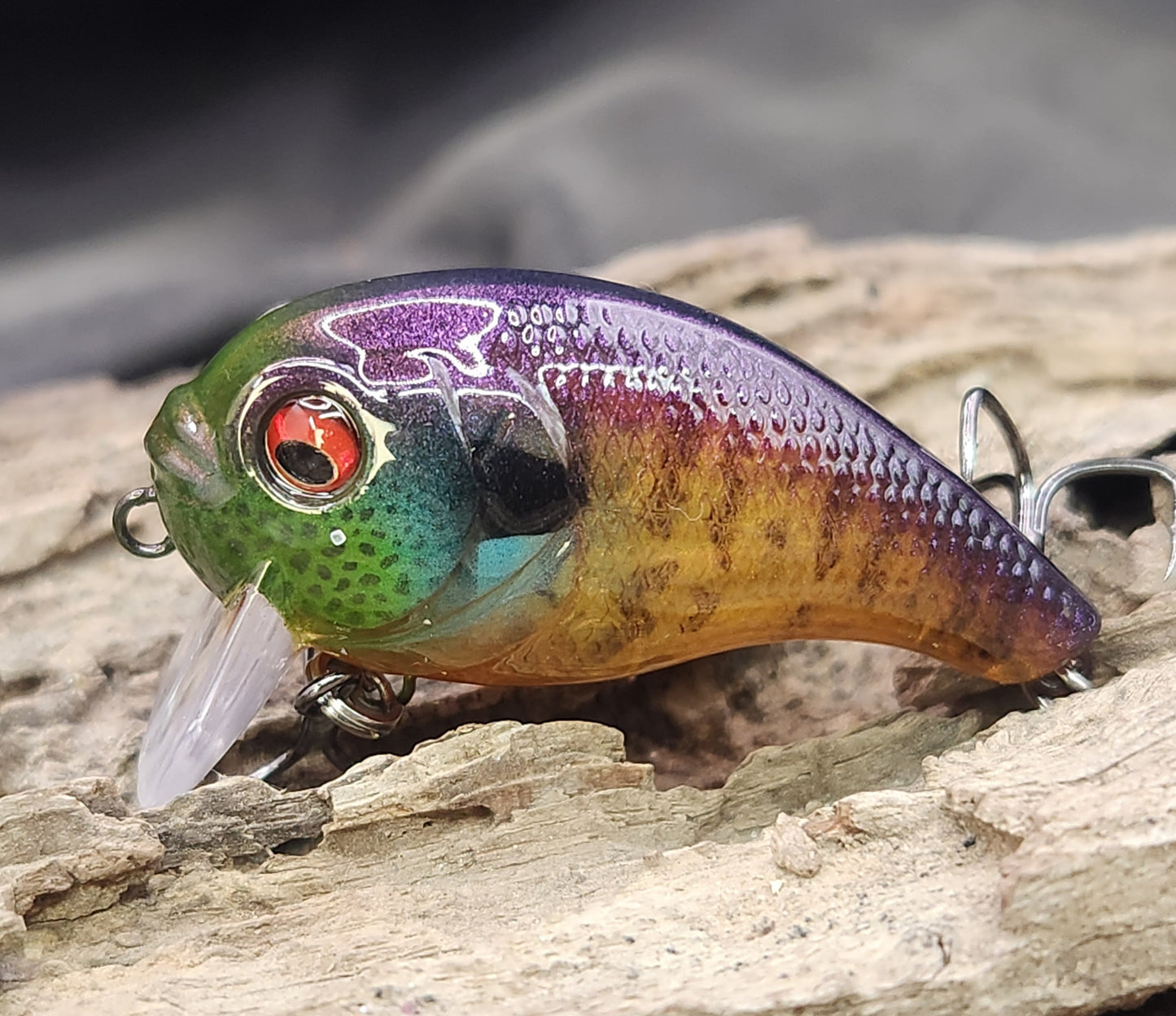 Bass Pro XPS Egg Wake ko