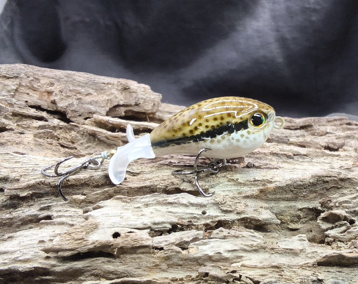 Show Me Creeks Bundle