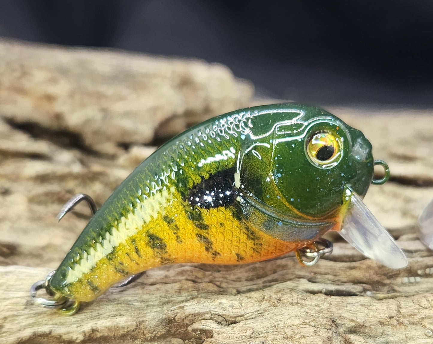 Bass Pro XPS Egg Wake ko