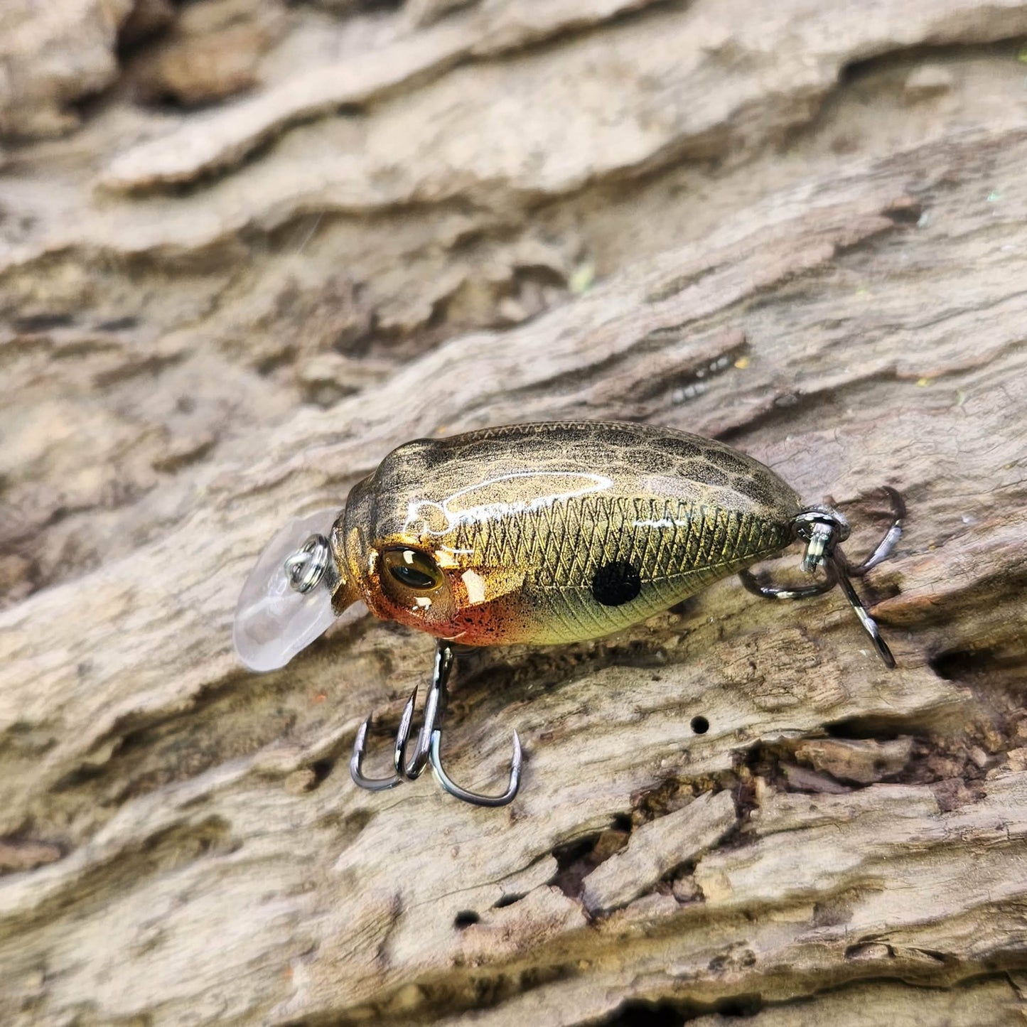 Megabass Griffon SR-X BFS ko