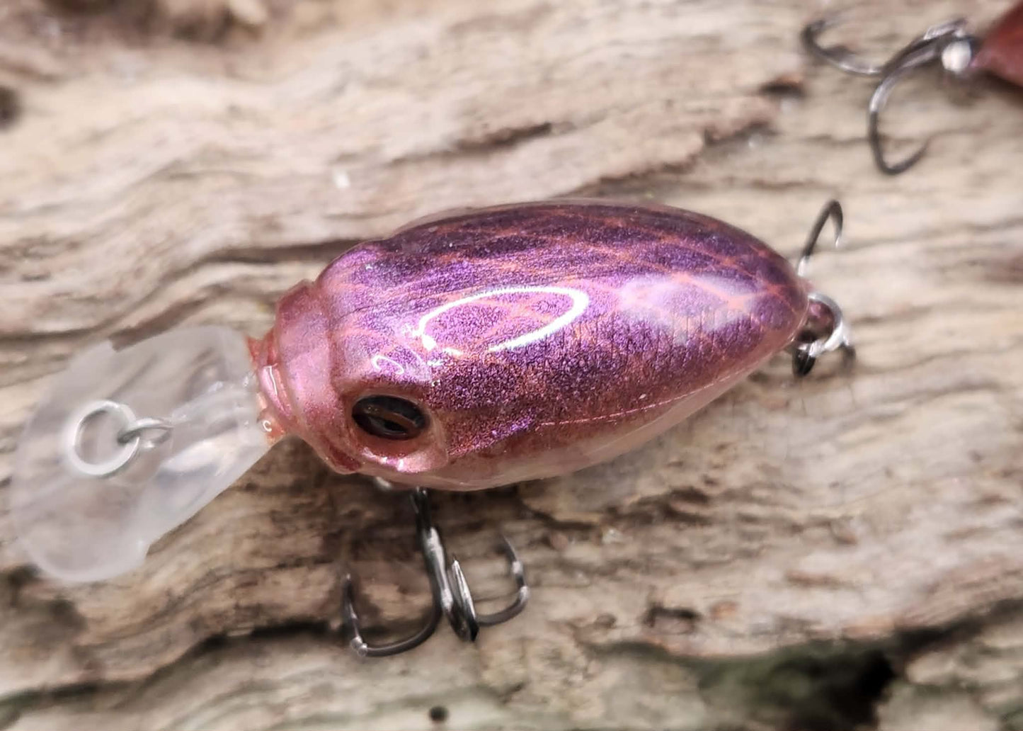 Megabass Griffon MR-X ko BFS