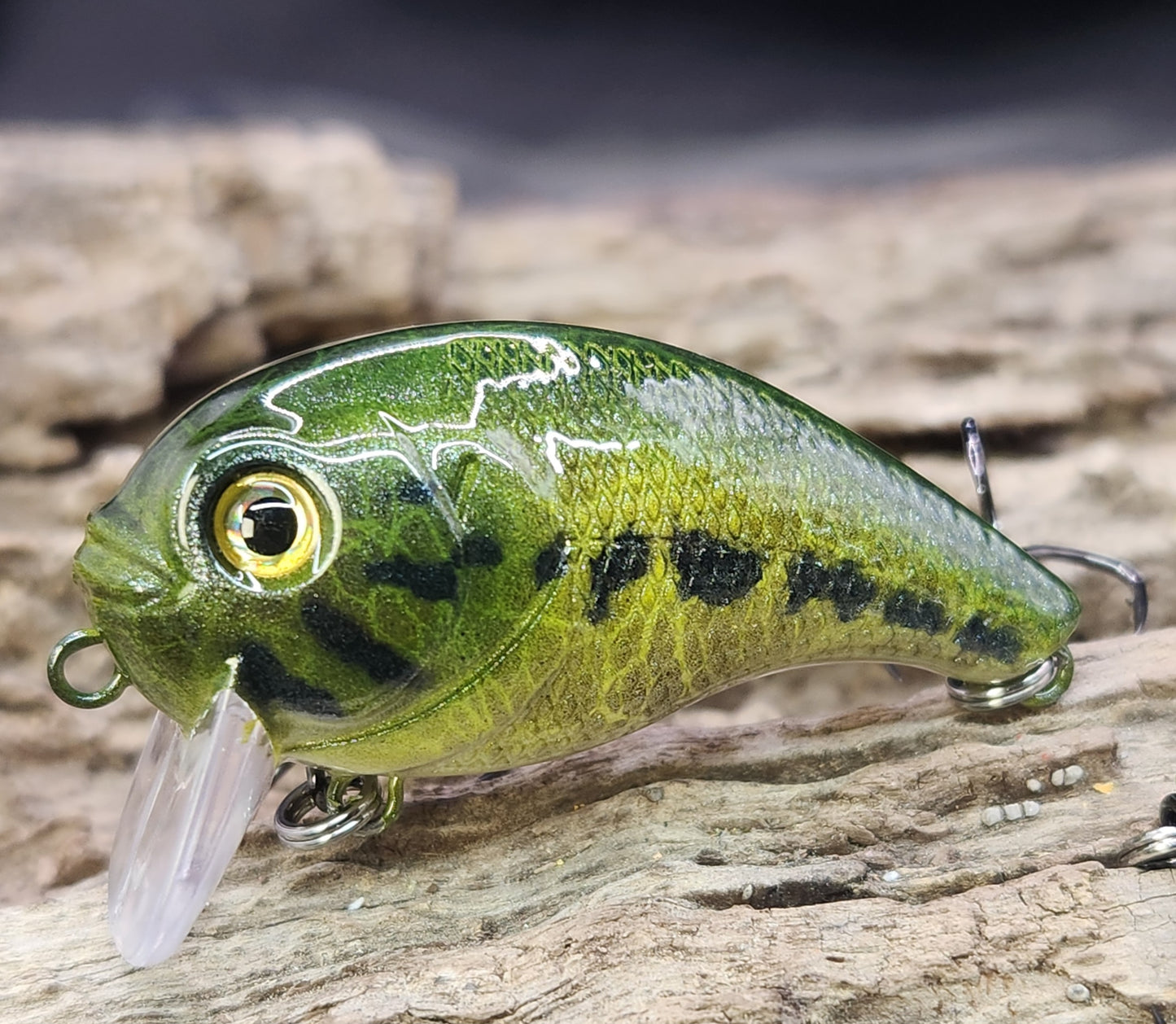 Bass Pro XPS Egg Wake ko