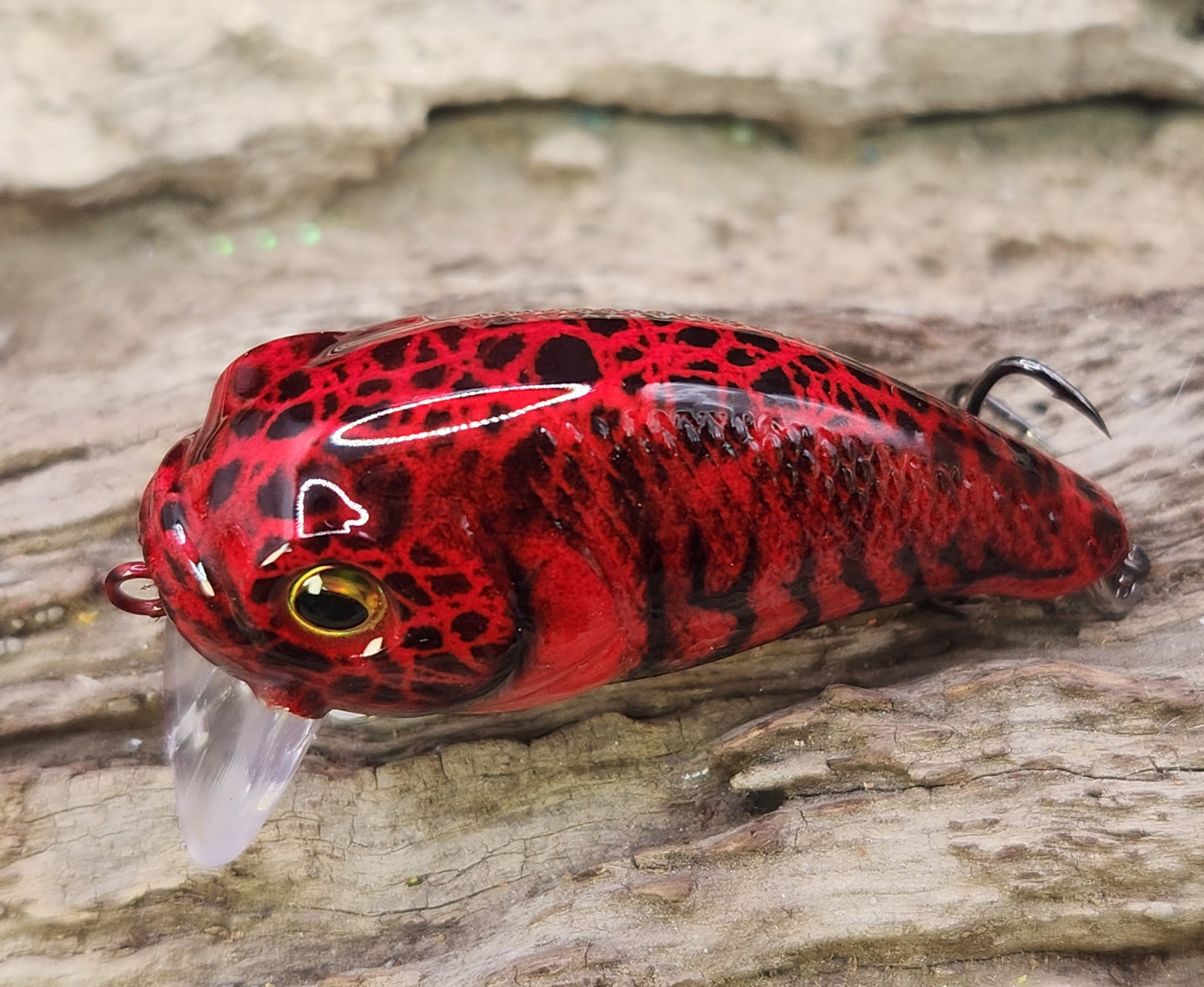 Bass Pro XPS Egg Wake ko