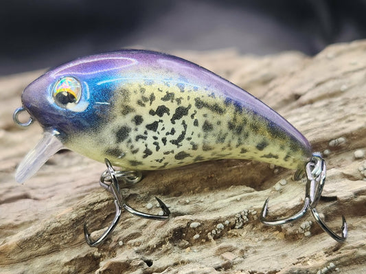 Mann's Baby 1 Minus ko