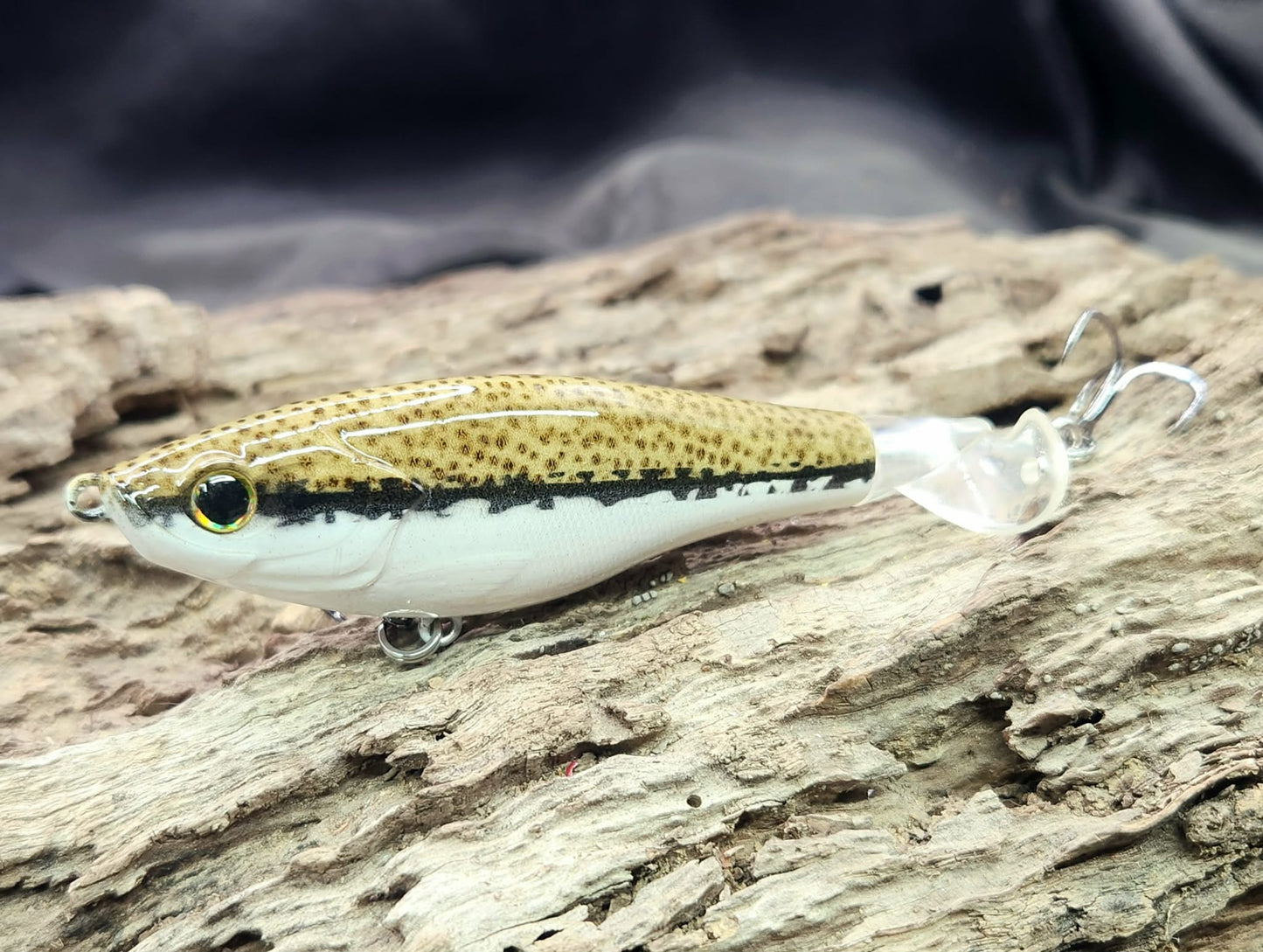 Show Me Creeks Bundle
