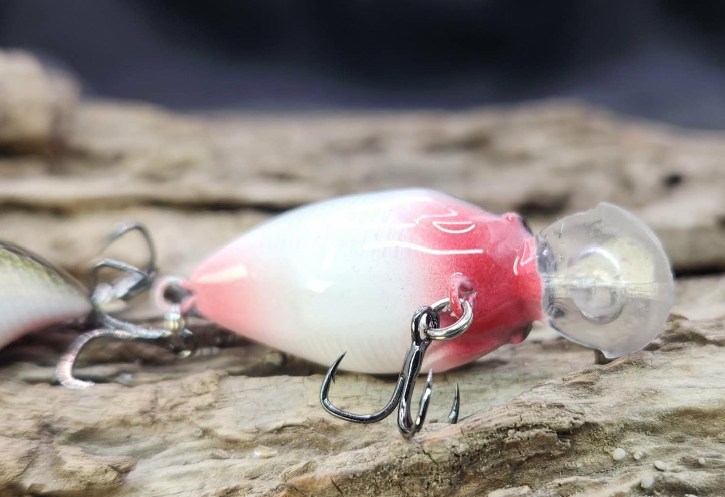 Megabass Griffon ko BFS