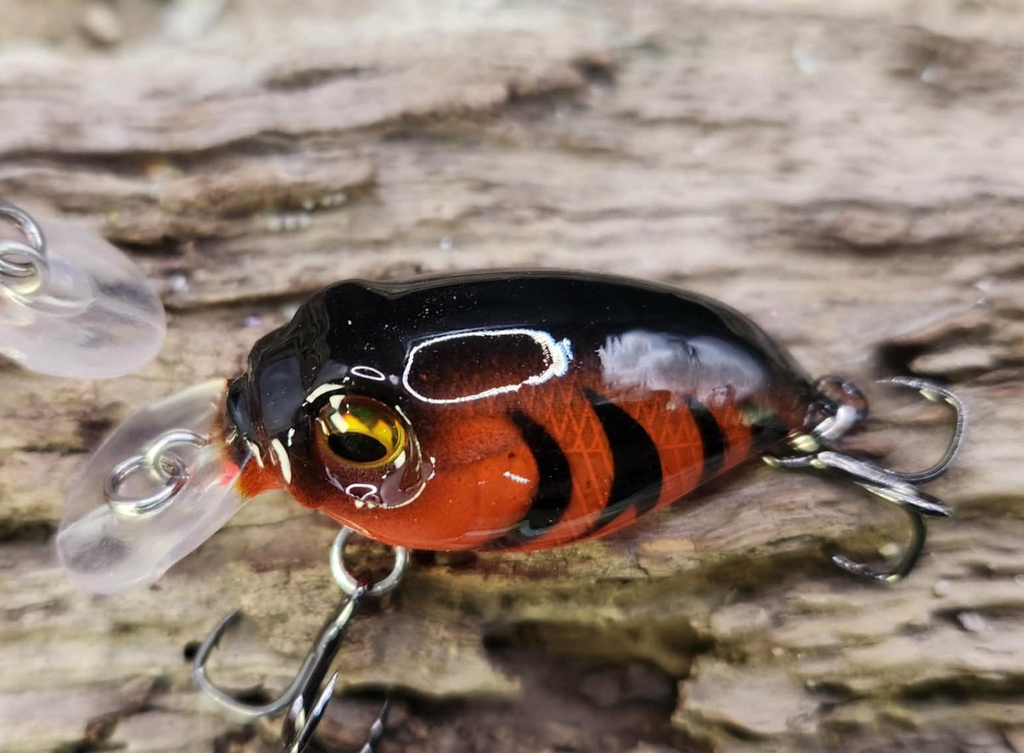 Megabass Griffon ko BFS