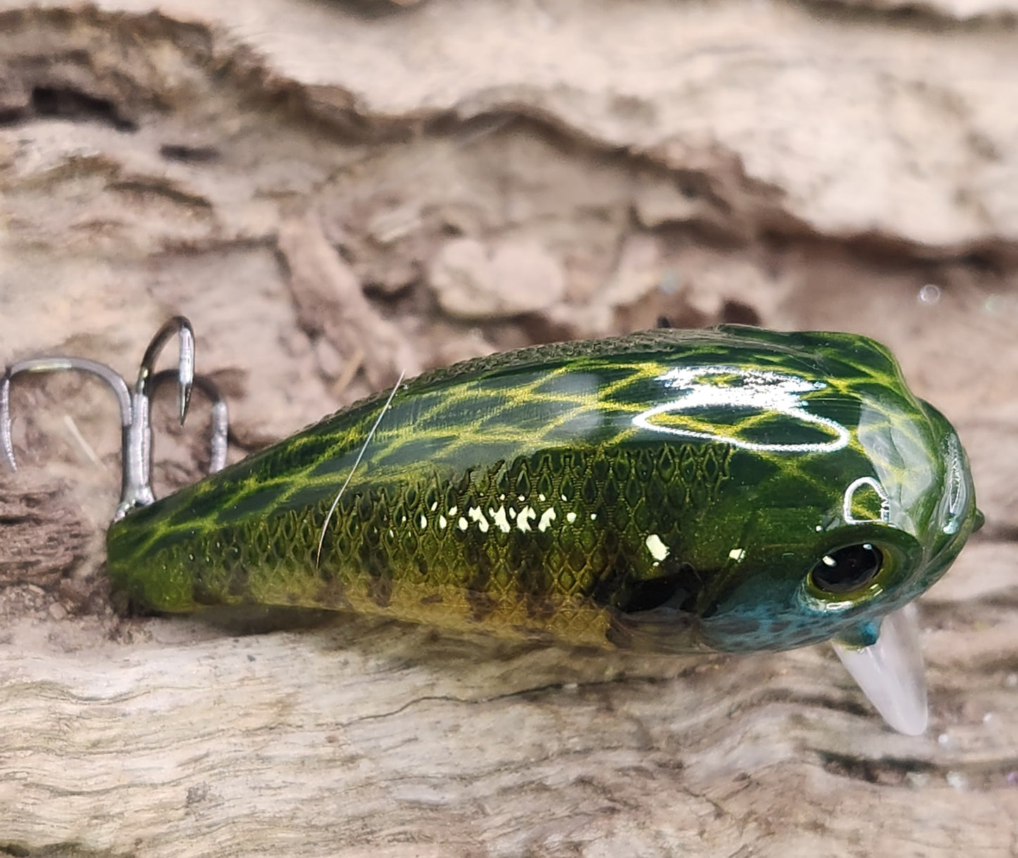 Bass Pro XPS Egg Wake ko