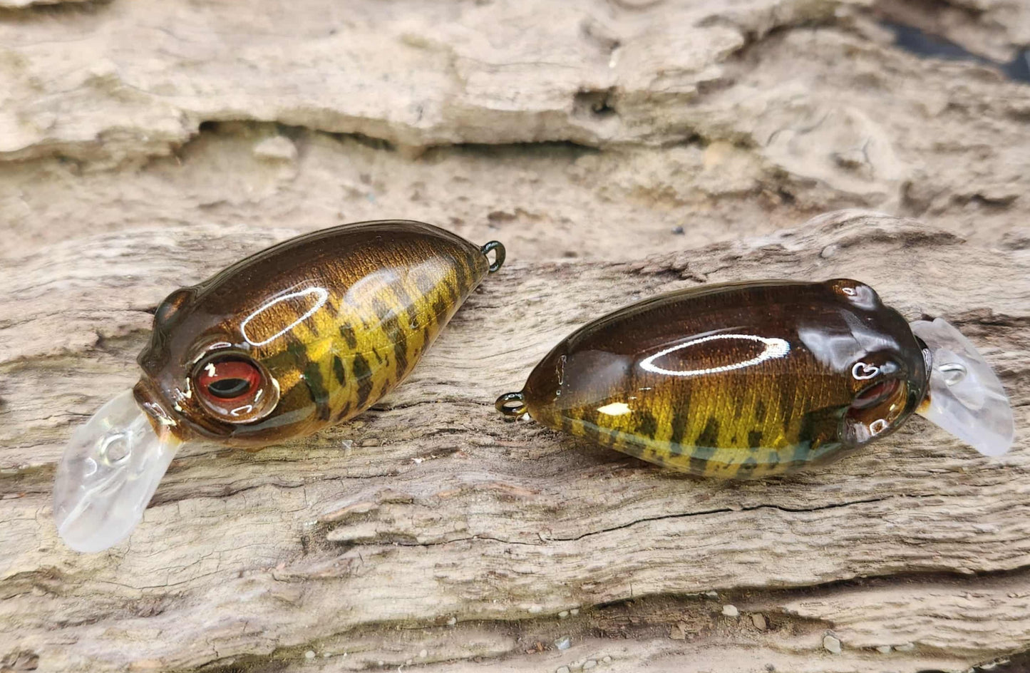 Megabass Griffon ko