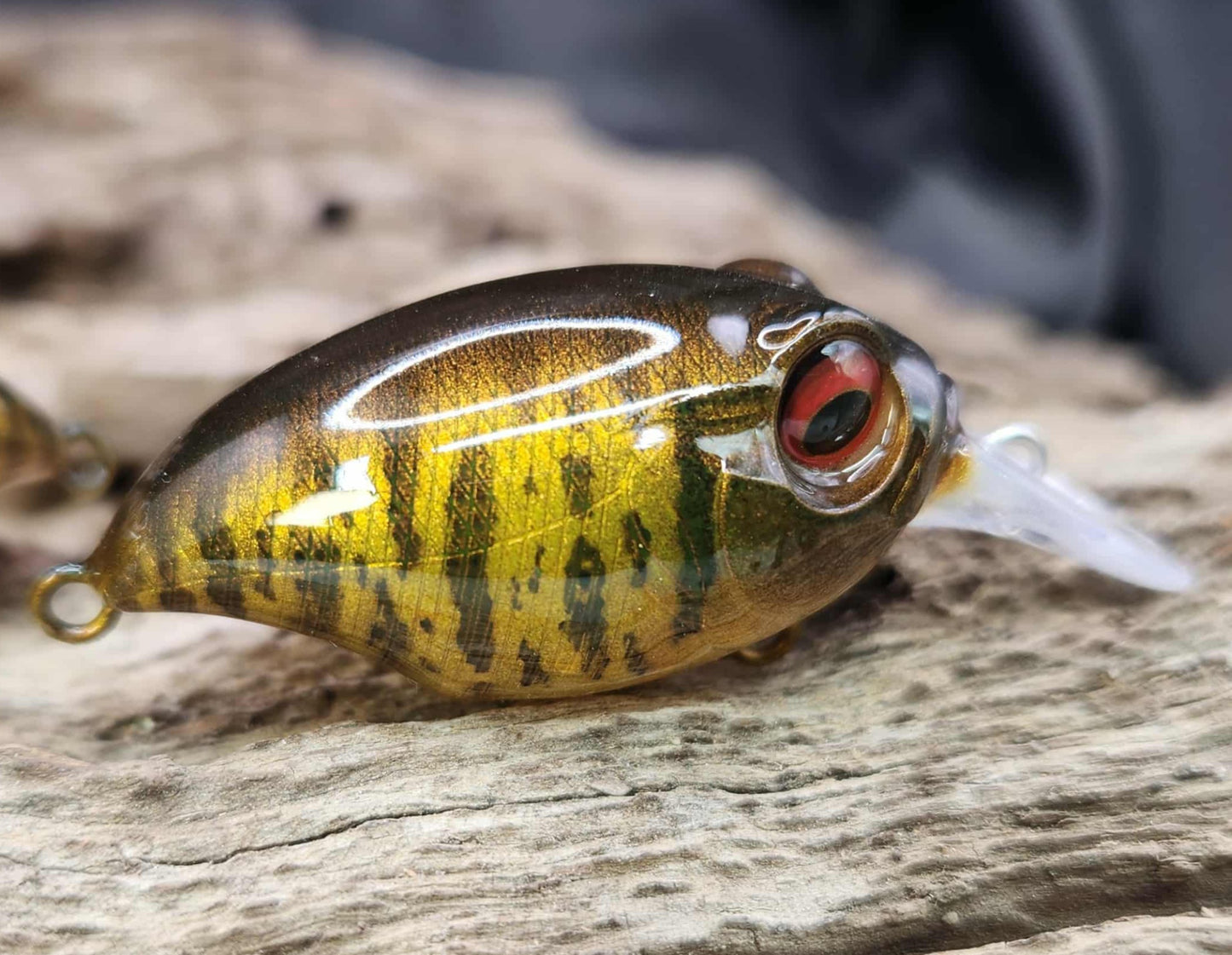 Megabass Griffon ko