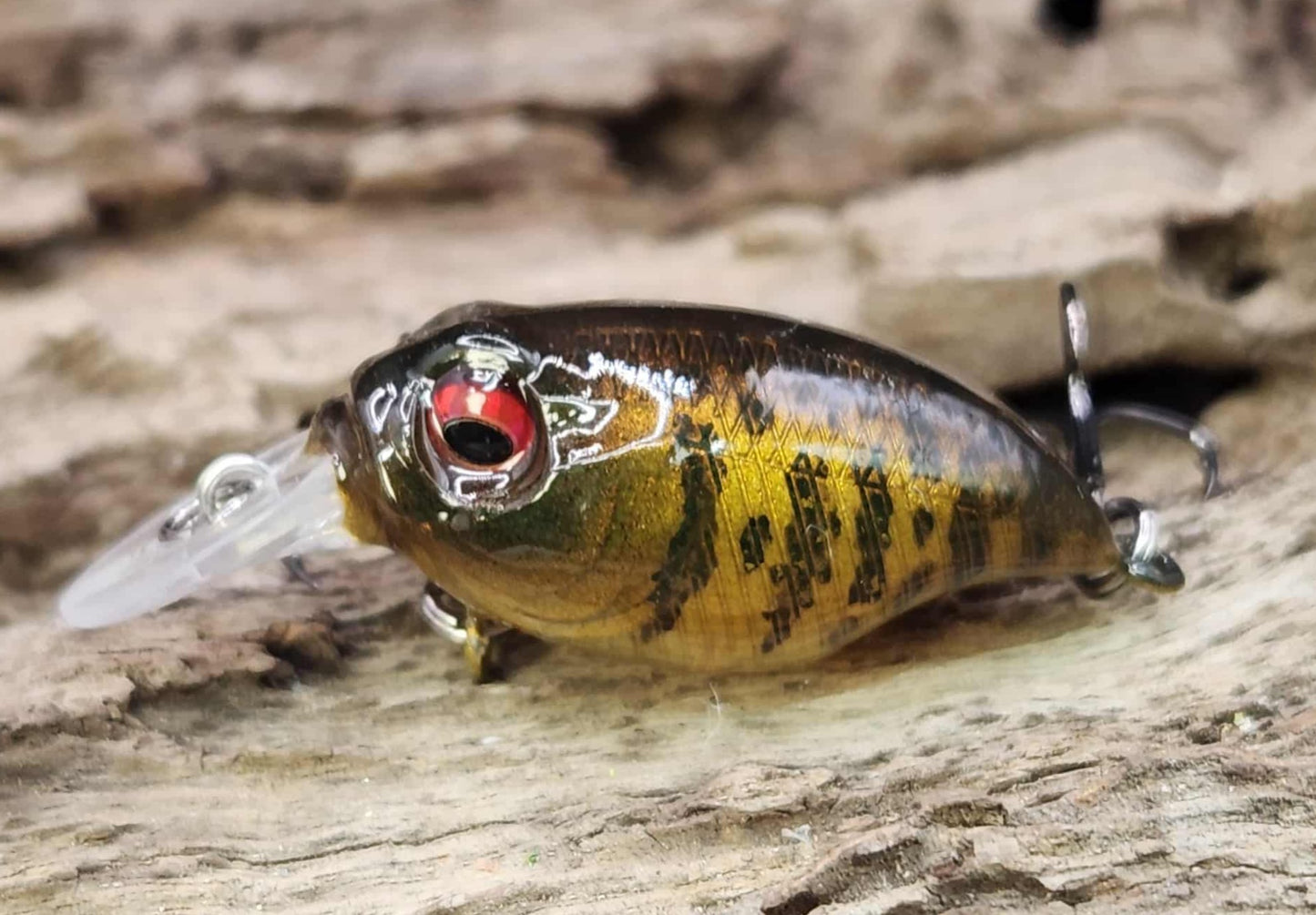 Megabass Griffon BFS ko