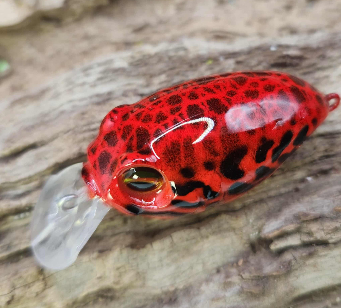 Megabass Griffon ko