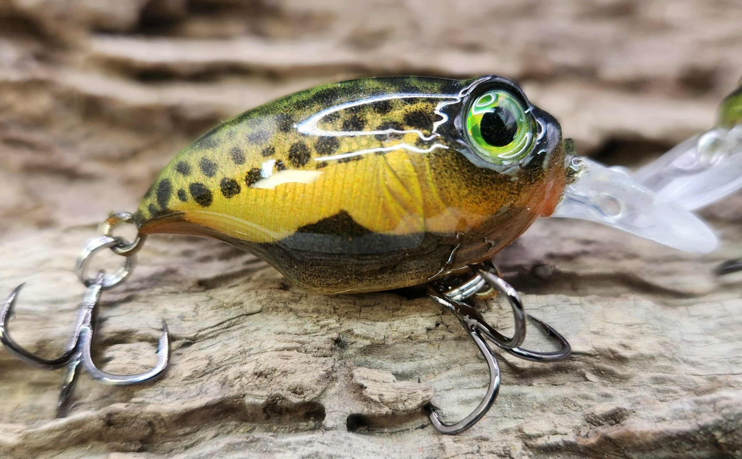 Megabass Griffon ko