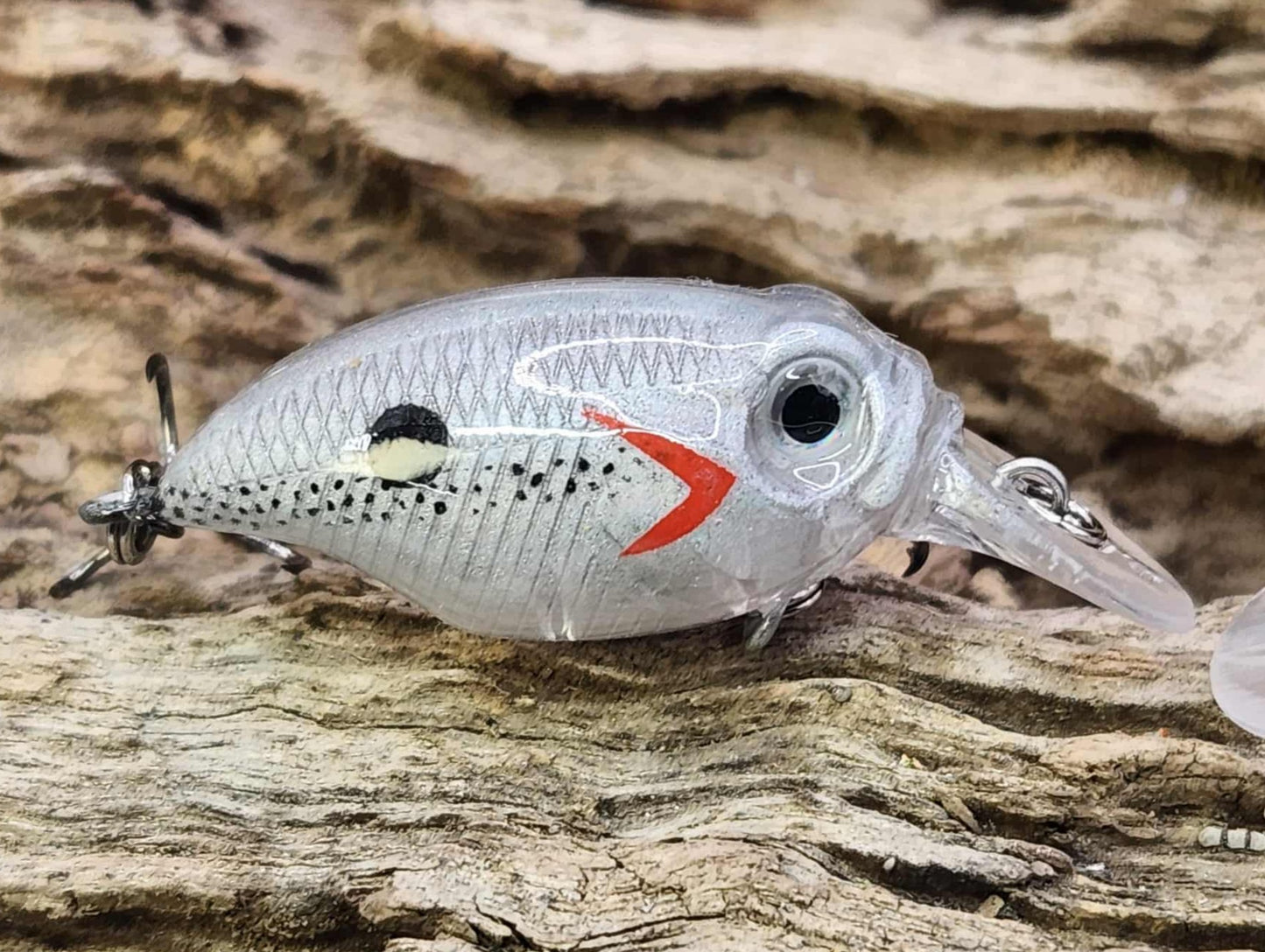 Megabass Griffon BFS ko