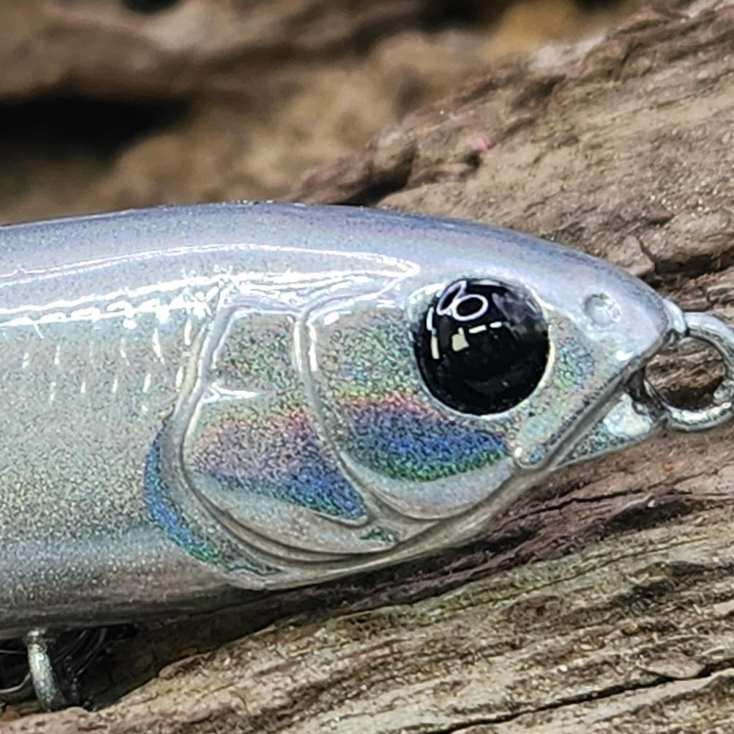 Megabass Karashi 60ko BFS