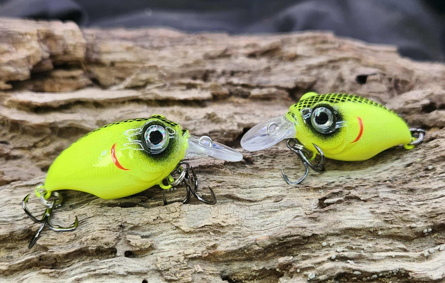 Megabass Griffon ko