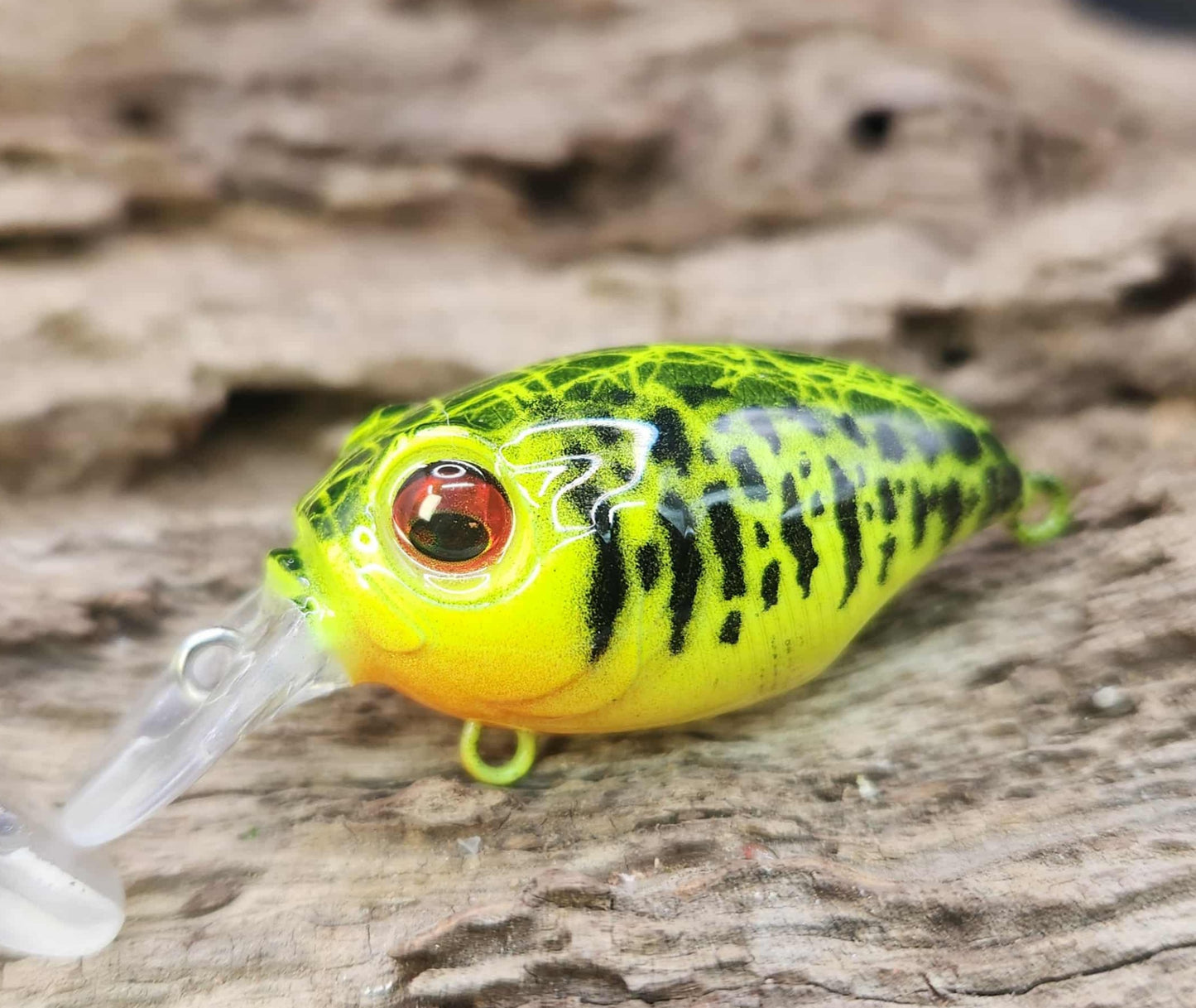 Megabass Griffon ko
