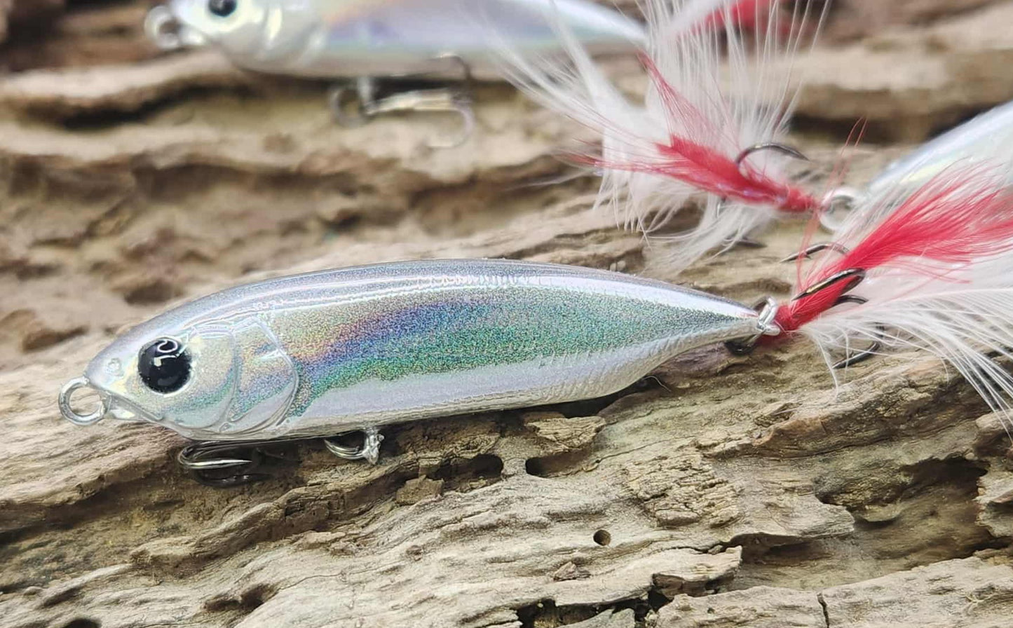 Megabass Karashi 60ko BFS