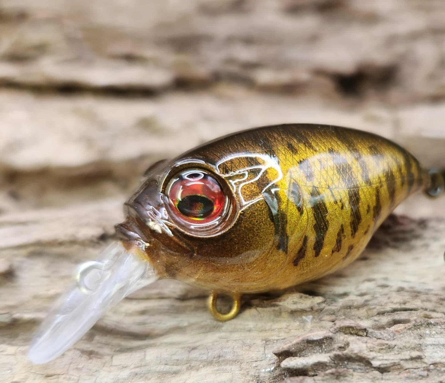 Megabass Griffon ko