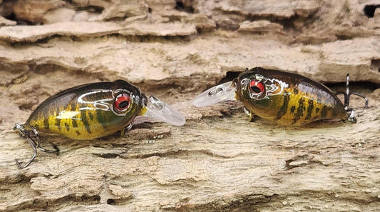 Megabass Griffon BFS ko