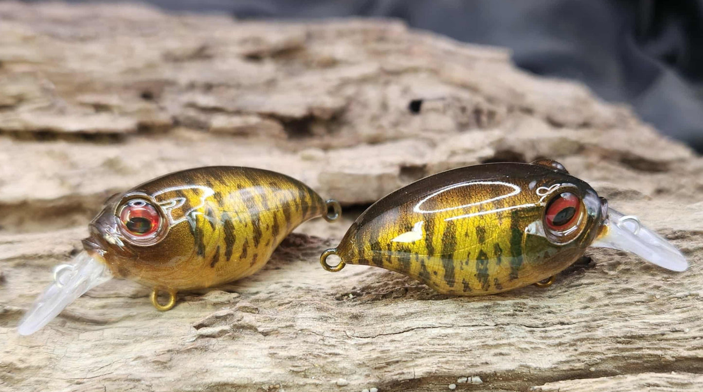 Megabass Griffon ko