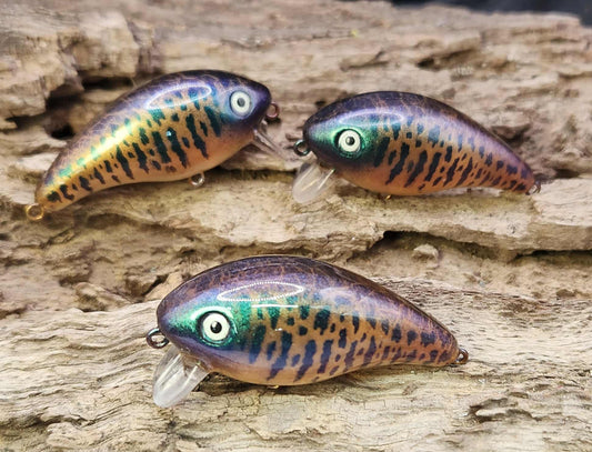 Mann's Baby 1 Minus ko