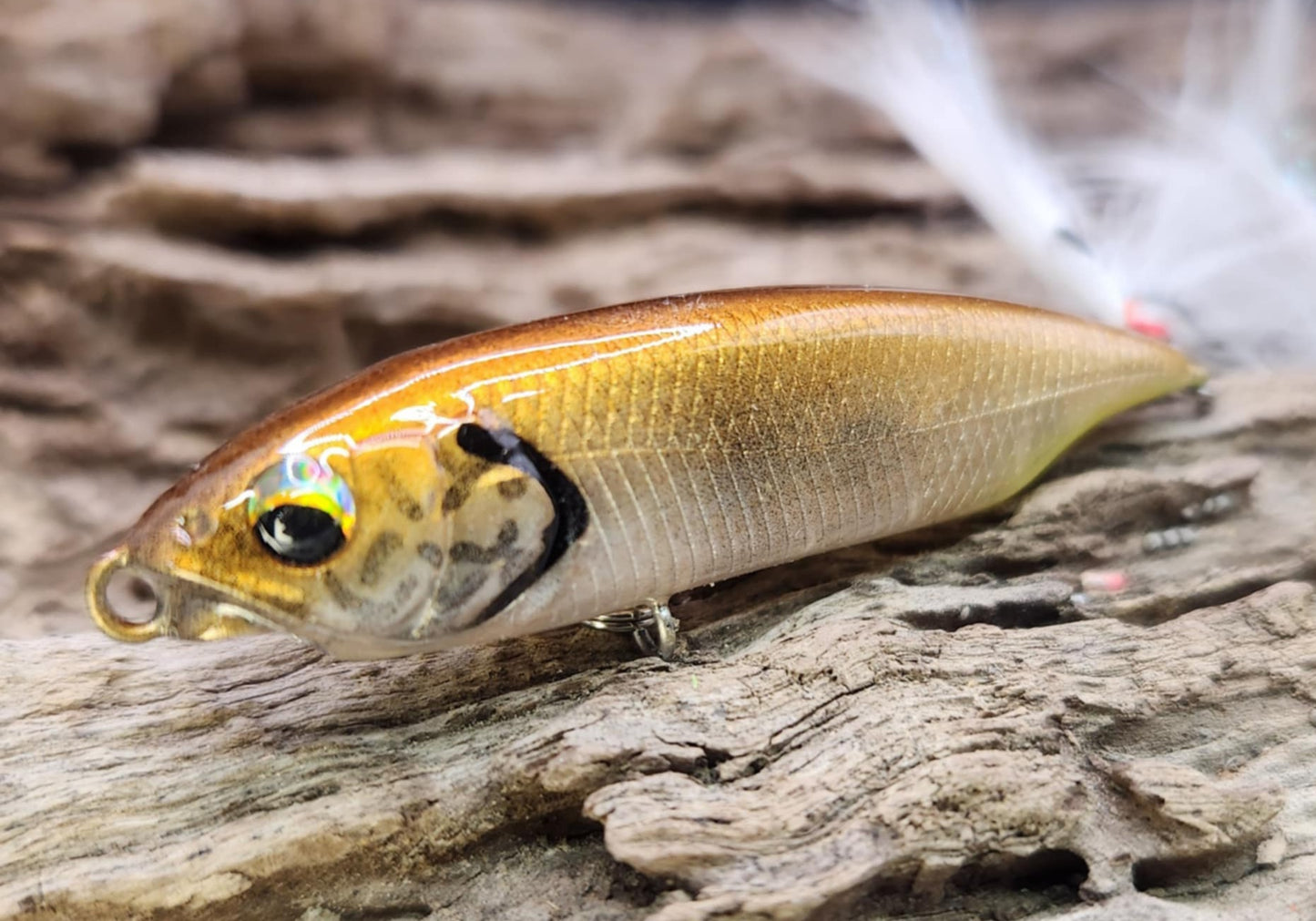Megabass Karashi 60ko BFS