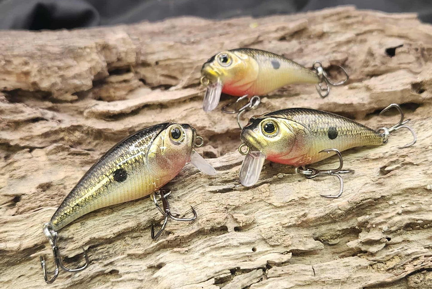 Twelve Oaks Signature Wake