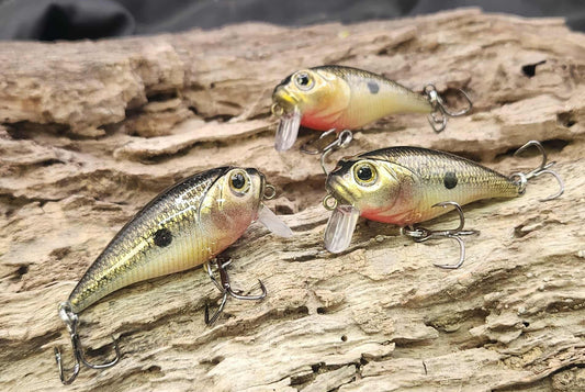 Twelve Oaks Signature Wake