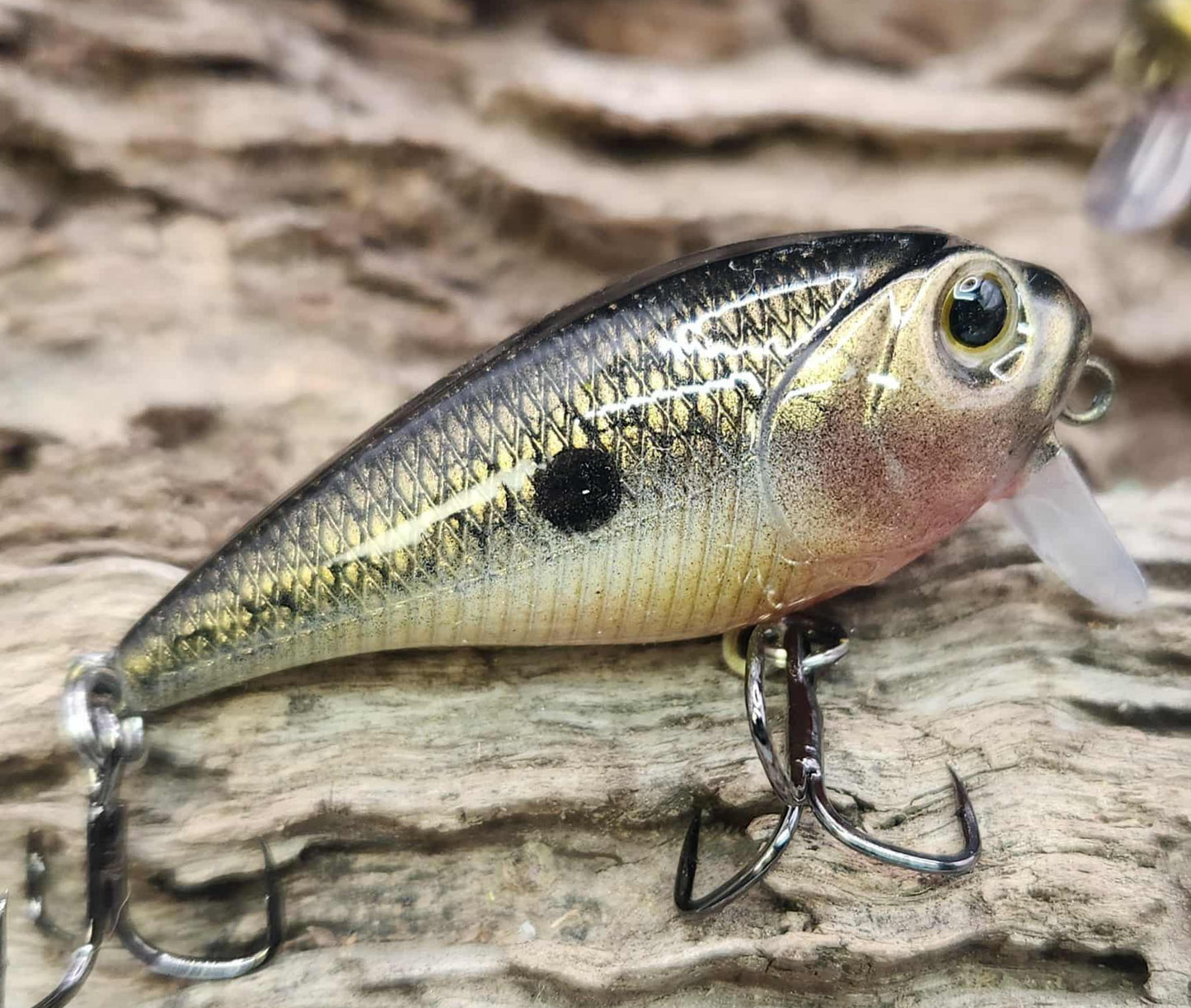 Twelve Oaks Signature Wake