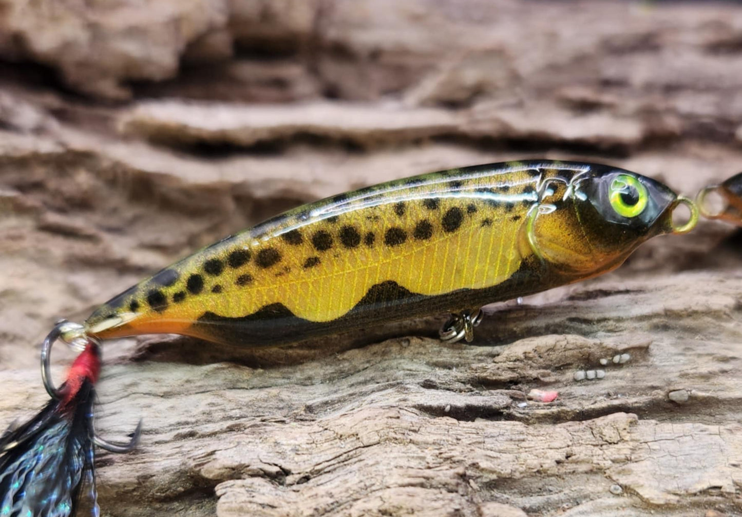 Megabass Karashi 60ko BFS