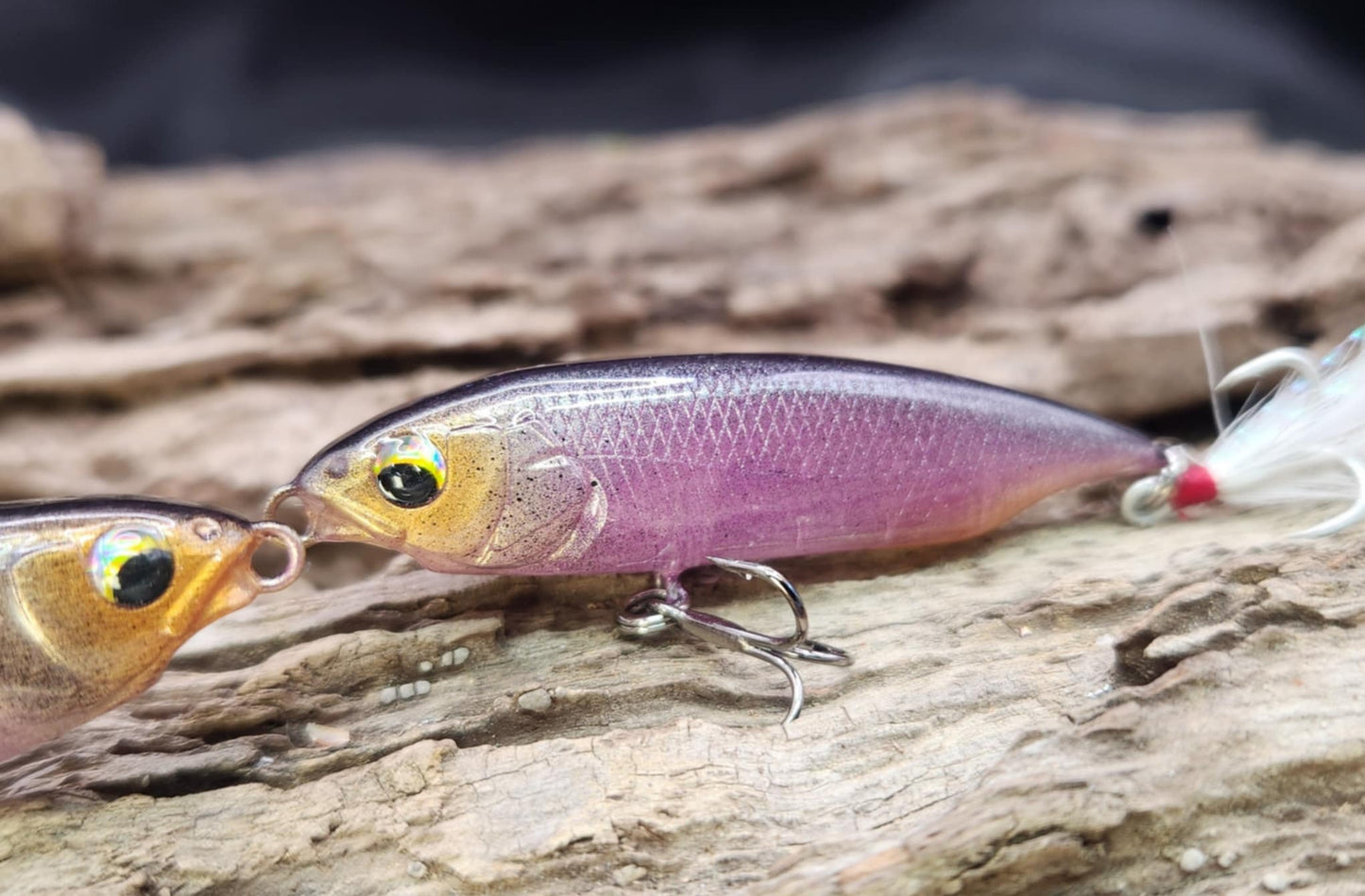 Megabass Karashi 60ko BFS