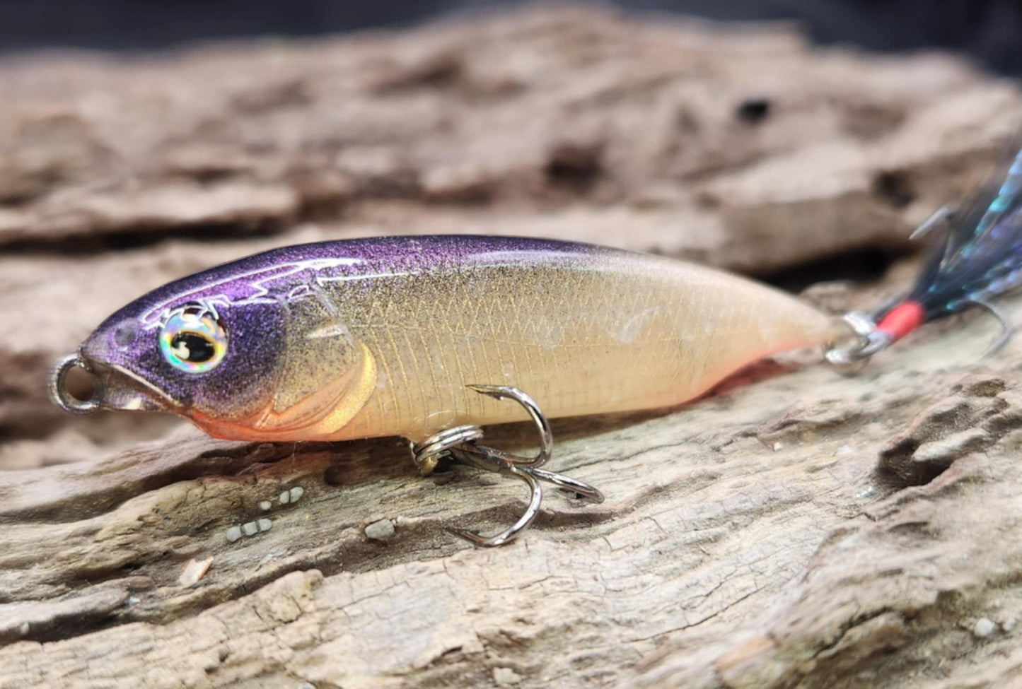 Megabass Karashi 60ko BFS