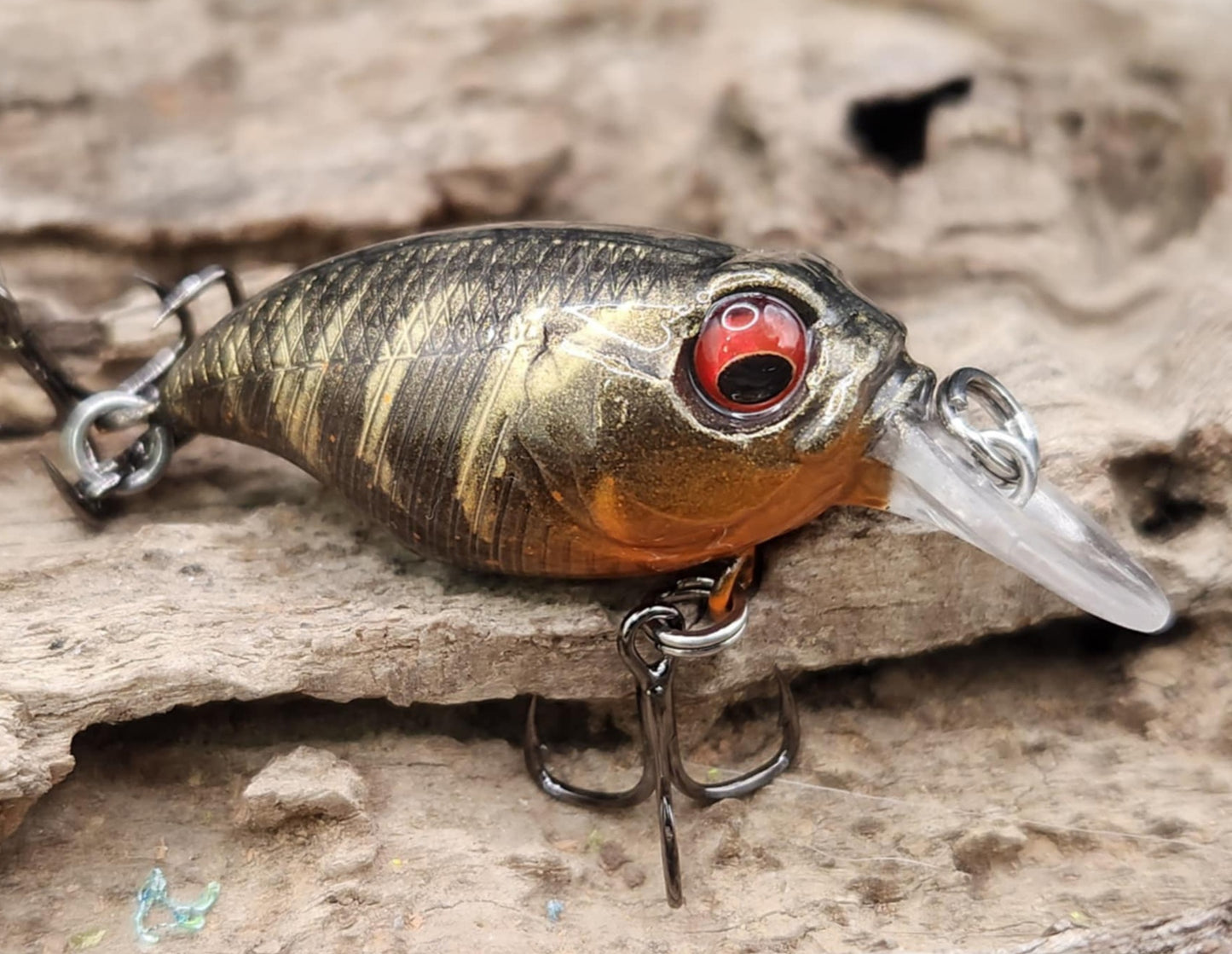 Megabass Griffon BFS ko